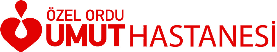 Big Ben Bilişim Eğitim ve Danışmanlık Hizmetleri Limited Şirketi